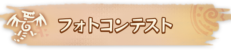 フォトコンテスト