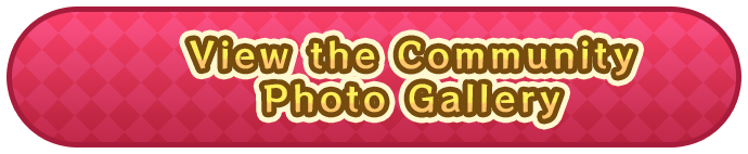 View the Community Photo Gallery