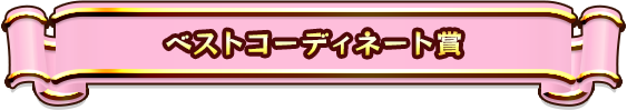 ベストコーディネート賞