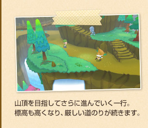 山頂を目指してさらに進んでいく一行。標高も高くなり、厳しい道のりが続きます。