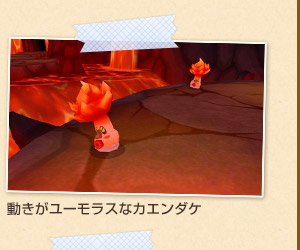 動きがユーモラスなカエンダケ