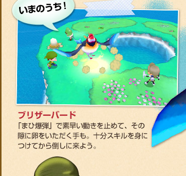 ブリザーバード
「まひ爆弾」で素早い動きを止めて、その隙に卵をいただく手も。十分スキルを身につけてから倒しに来よう。