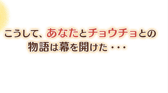 こうして、あなたとチョウチョとの物語は幕を開けた・・・