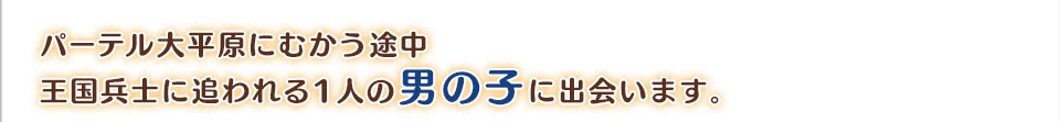 パーテル大平原にむかう途中
王国兵士に追われる1人の男の子に出会います。