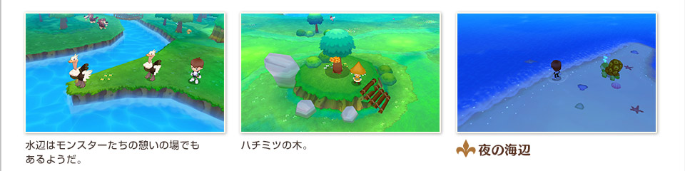 水辺はモンスターたちの憩いの場でもあるようだ。／ハチミツの木。／夜の海辺