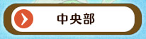 中央部