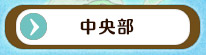 中央部