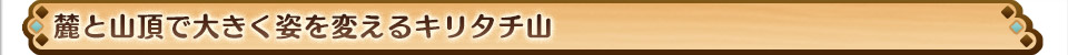 麓と山頂で大きく姿を変えるキリタチ山
