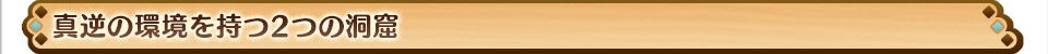 真逆の環境を持つ2つの洞窟