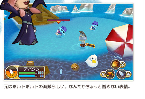 元はポルトポルトの海賊らしい。なんだかちょっと憎めない表情。