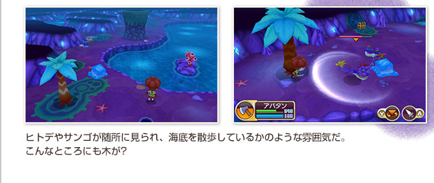 ヒトデやサンゴが随所に見られ、海底を散歩しているかのような雰囲気だ。こんなところにも木が?