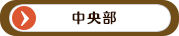 中央部