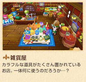 雑貨屋　カラフル道具がたくさん置かれているお店。一体何に使うのだろうか…？