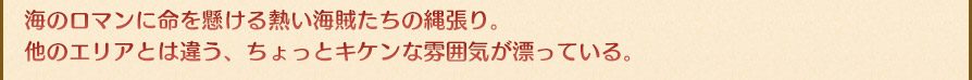 海のロマンに命を懸ける熱い海賊たちの縄張り。他のエリアとは違う、ちょっとキケンな雰囲気が漂っている。