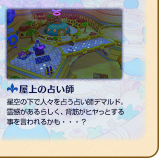 屋上の占い師 星空の下で人々を占う占い師デマルド。霊感があるらしく、背筋がヒヤっとする事を言われるかも・・・？