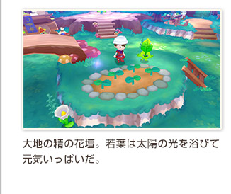 大地の精の花壇。若葉は太陽の光を浴びて元気いっぱいだ。